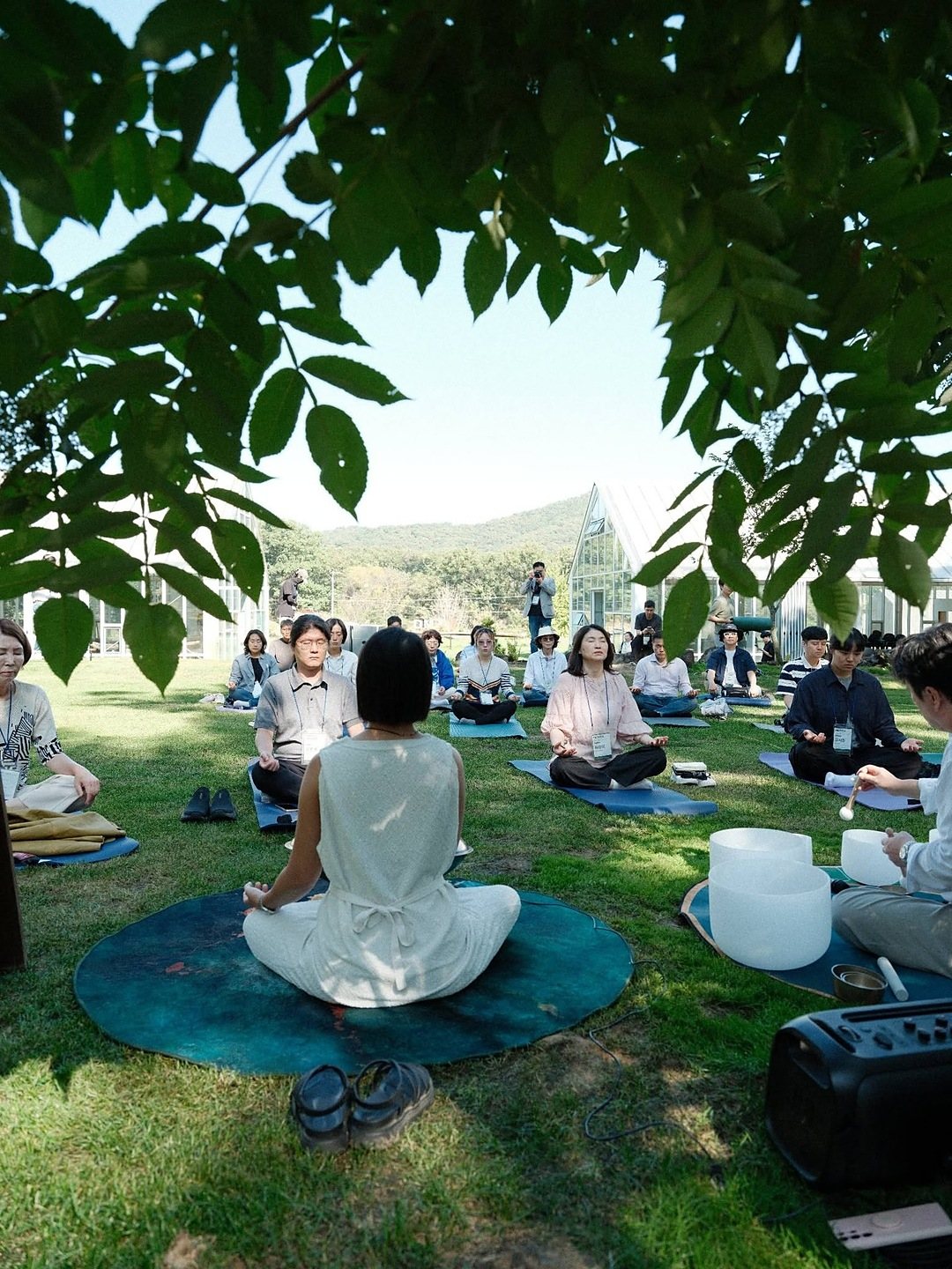 DMZ숲 나무 그늘 아래 둘러앉아 쉬는 사람들